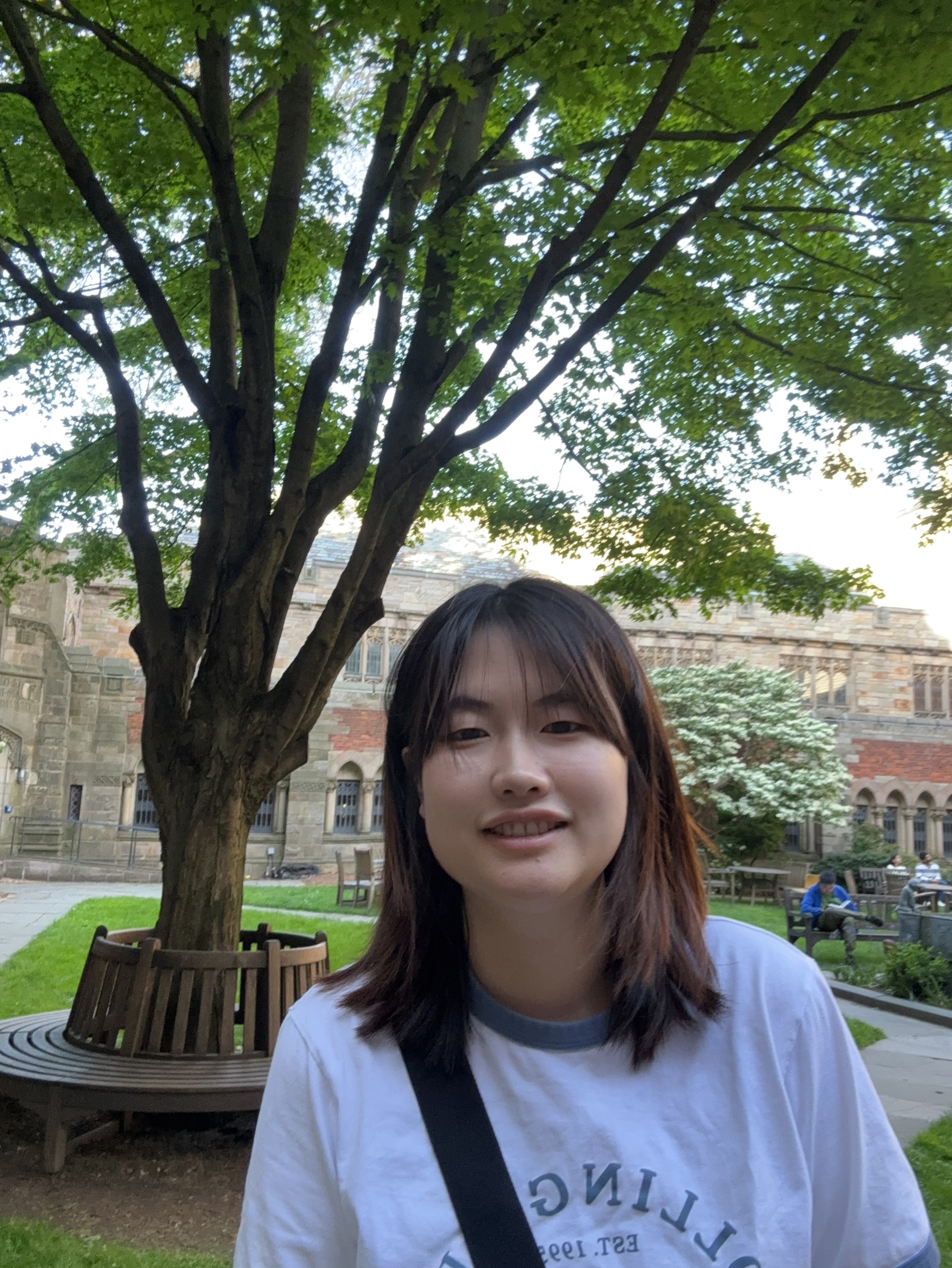 Su Yiyun